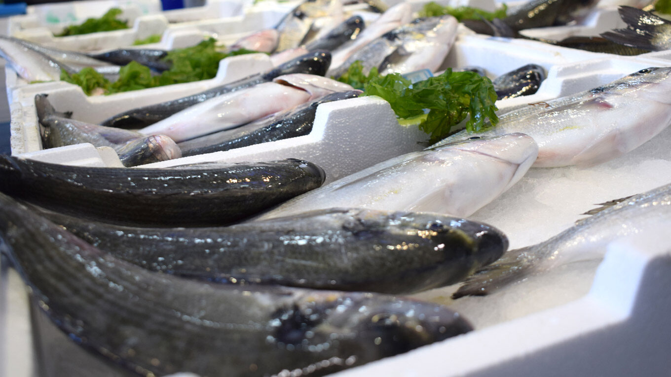 Wolfsbarsche auf einem Fischmarkt